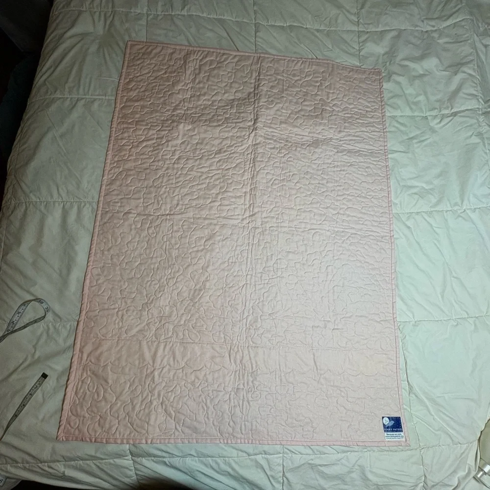 Adorable Pink and Baby Blue Quilted Bunny Trim Baby Blanket